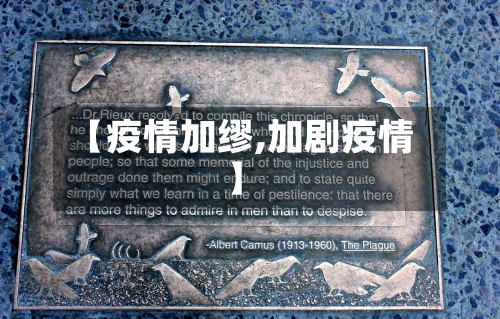【疫情加缪,加剧疫情】-第2张图片