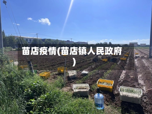 苗店疫情(苗店镇人民政府)-第1张图片