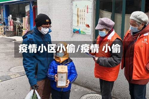 疫情小区小偷/疫情 小偷-第2张图片