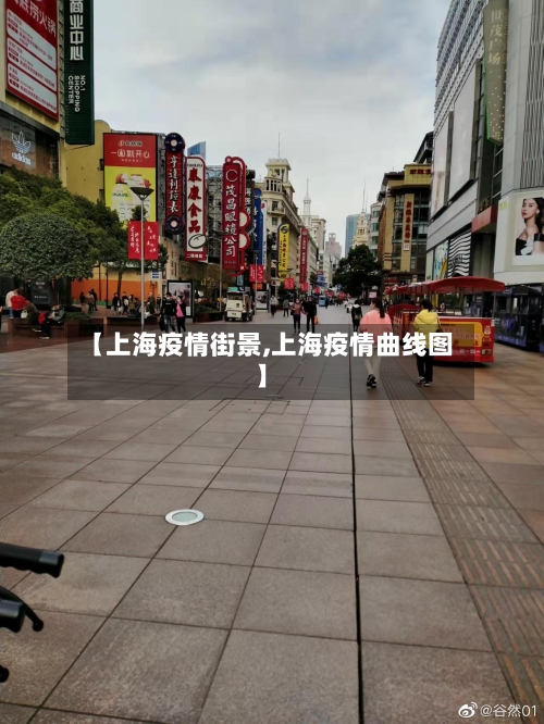 【上海疫情街景,上海疫情曲线图】-第3张图片