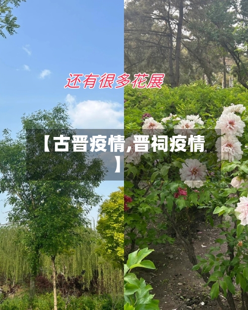 【古晋疫情,晋祠疫情】-第1张图片