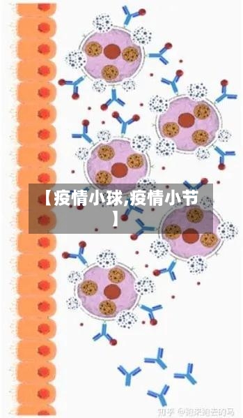 【疫情小球,疫情小节】-第1张图片