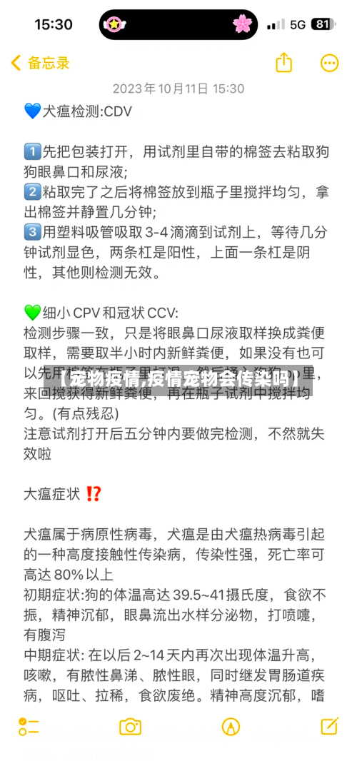 【宠物疫情,疫情宠物会传染吗】-第1张图片