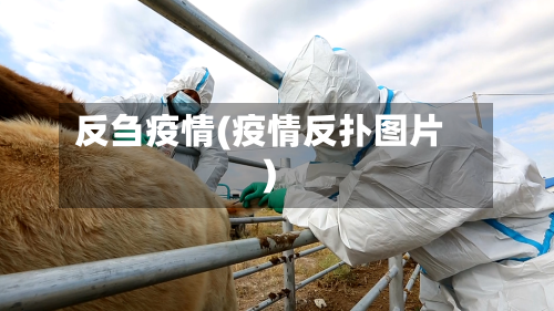 反刍疫情(疫情反扑图片)-第2张图片