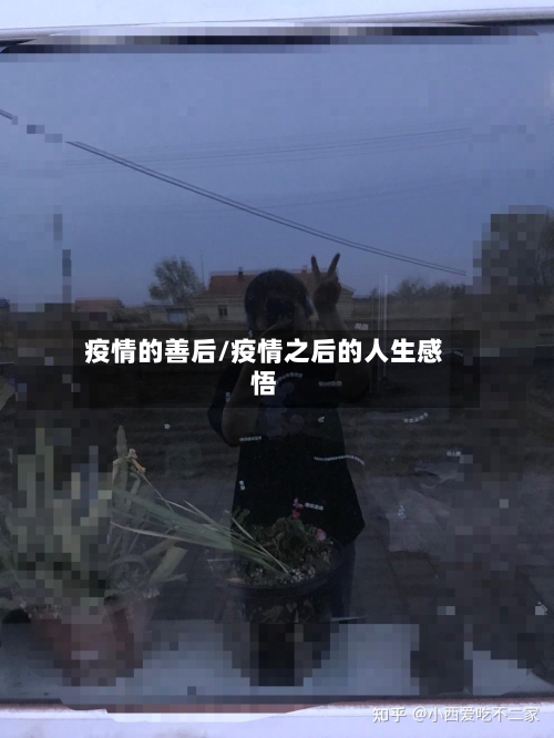 疫情的善后/疫情之后的人生感悟-第2张图片