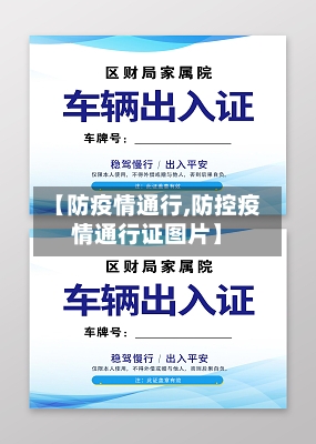 【防疫情通行,防控疫情通行证图片】-第2张图片