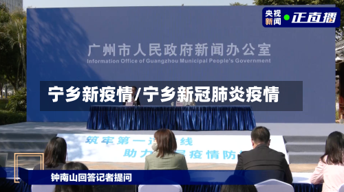 宁乡新疫情/宁乡新冠肺炎疫情-第2张图片