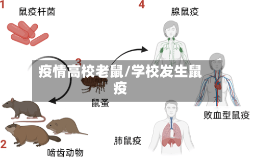 疫情高校老鼠/学校发生鼠疫-第2张图片