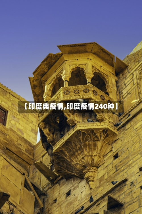 【印度典疫情,印度疫情240种】-第1张图片