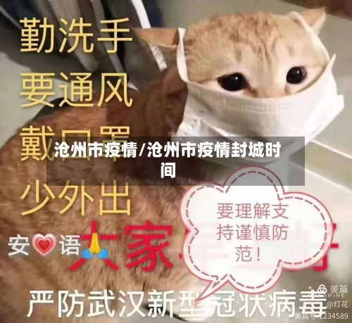 沧州市疫情/沧州市疫情封城时间-第2张图片