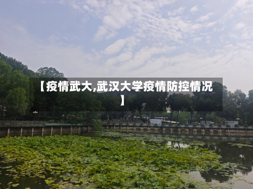 【疫情武大,武汉大学疫情防控情况】-第3张图片