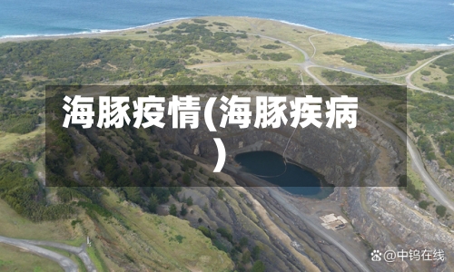 海豚疫情(海豚疾病)-第1张图片