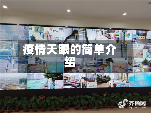 疫情天眼的简单介绍-第2张图片