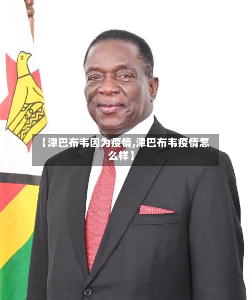 【津巴布韦因为疫情,津巴布韦疫情怎么样】-第2张图片