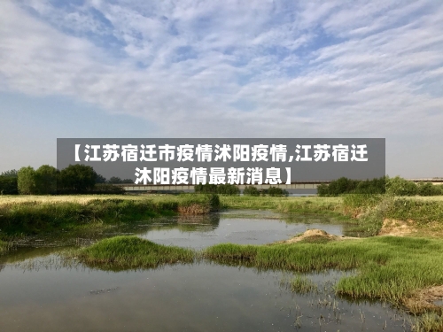 【江苏宿迁市疫情沭阳疫情,江苏宿迁沐阳疫情最新消息】-第3张图片