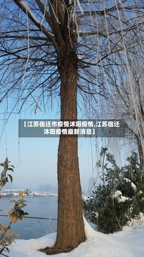 【江苏宿迁市疫情沭阳疫情,江苏宿迁沐阳疫情最新消息】-第1张图片