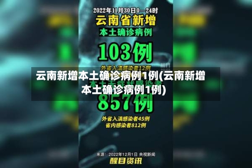 云南新增本土确诊病例1例(云南新增本土确诊病例1例)-第1张图片