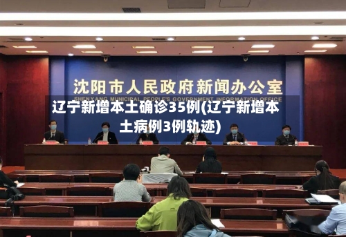 辽宁新增本土确诊35例(辽宁新增本土病例3例轨迹)-第2张图片