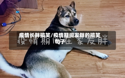 疫情长胖搞笑/疫情期间发胖的搞笑句子-第3张图片