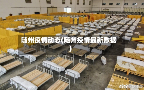 随州疫情动态(随州疫情最新数据)-第2张图片