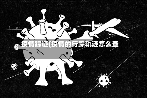 疫情踪迹(疫情的行踪轨迹怎么查)-第1张图片