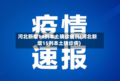 河北新增14例本土确诊病例(河北新增15例本土确诊病)-第2张图片