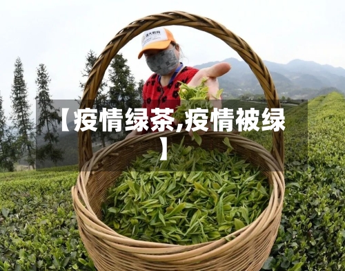 【疫情绿茶,疫情被绿】-第1张图片