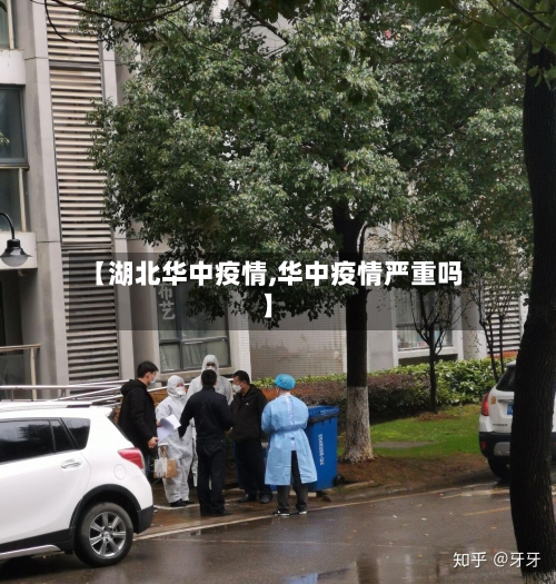 【湖北华中疫情,华中疫情严重吗】-第1张图片