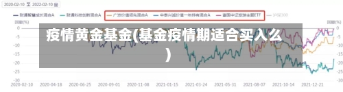 疫情黄金基金(基金疫情期适合买入么)-第1张图片