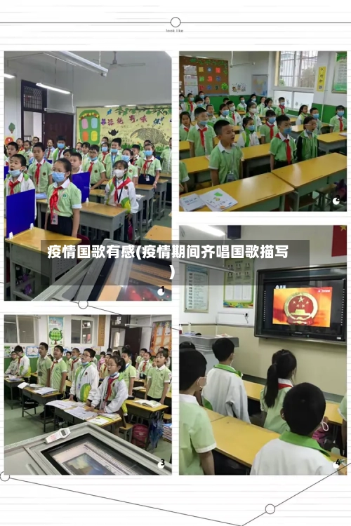 疫情国歌有感(疫情期间齐唱国歌描写)-第1张图片