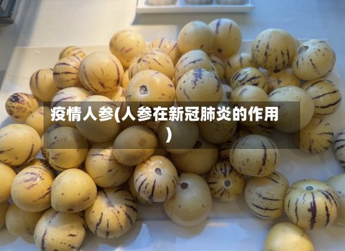 疫情人参(人参在新冠肺炎的作用)-第3张图片