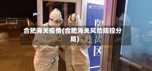 合肥海关疫情(合肥海关风险防控分局)-第2张图片