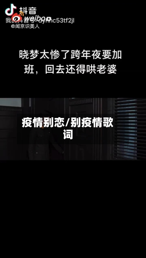 疫情别恋/别疫情歌词-第3张图片