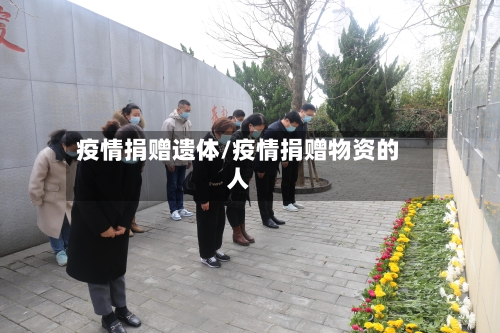 疫情捐赠遗体/疫情捐赠物资的人-第2张图片