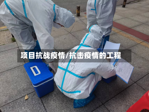 项目抗战疫情/抗击疫情的工程-第1张图片