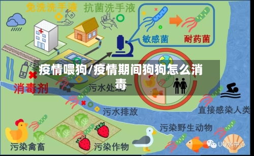 疫情喂狗/疫情期间狗狗怎么消毒-第2张图片