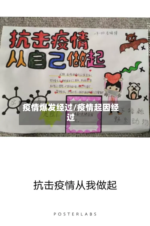 疫情爆发经过/疫情起因经过-第1张图片