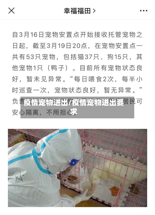 疫情宠物进出/疫情宠物进出要求-第2张图片