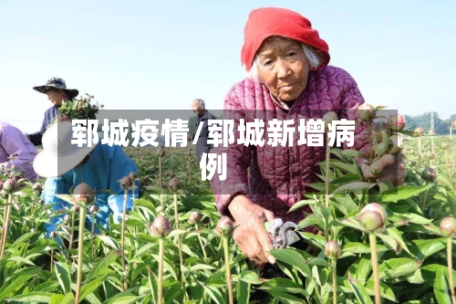 郓城疫情/郓城新增病例-第2张图片