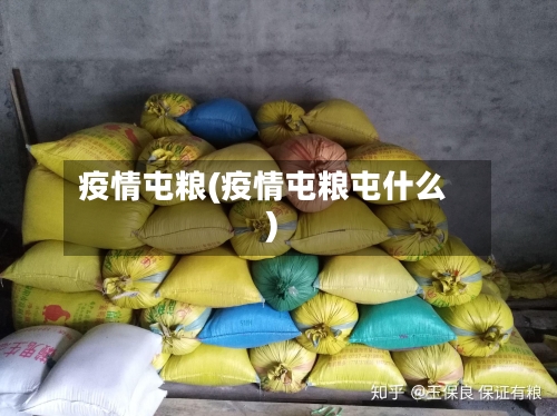 疫情屯粮(疫情屯粮屯什么)-第2张图片