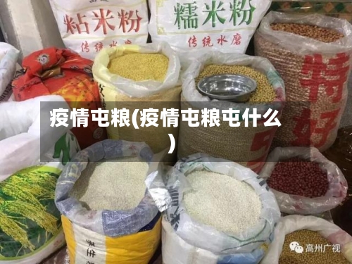 疫情屯粮(疫情屯粮屯什么)-第1张图片