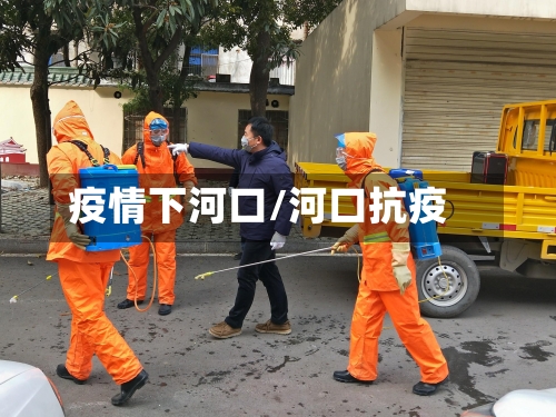 疫情下河口/河口抗疫-第2张图片