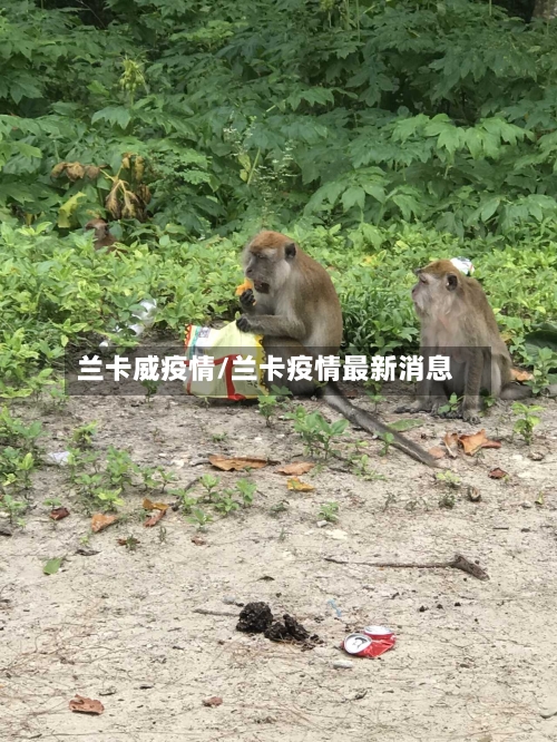 兰卡威疫情/兰卡疫情最新消息-第2张图片