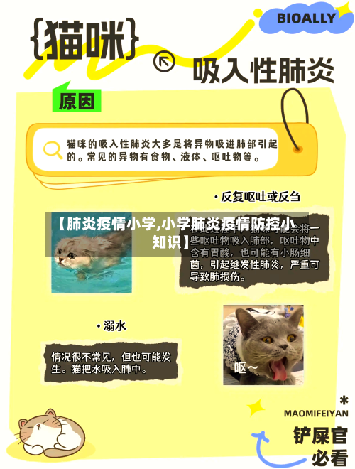 【肺炎疫情小学,小学肺炎疫情防控小知识】-第1张图片