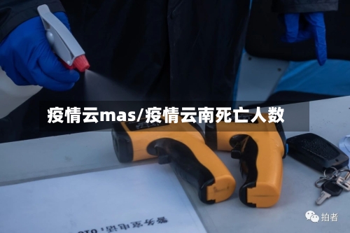 疫情云mas/疫情云南死亡人数-第2张图片