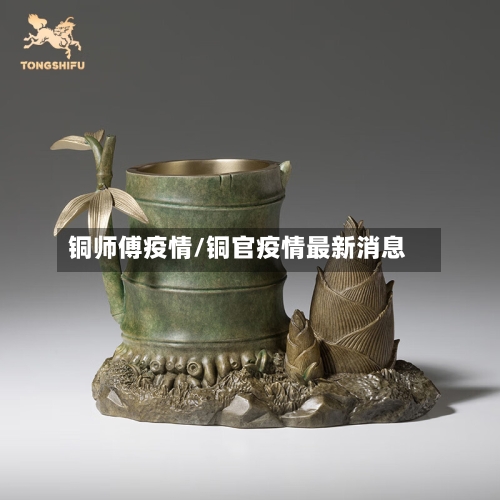 铜师傅疫情/铜官疫情最新消息-第2张图片