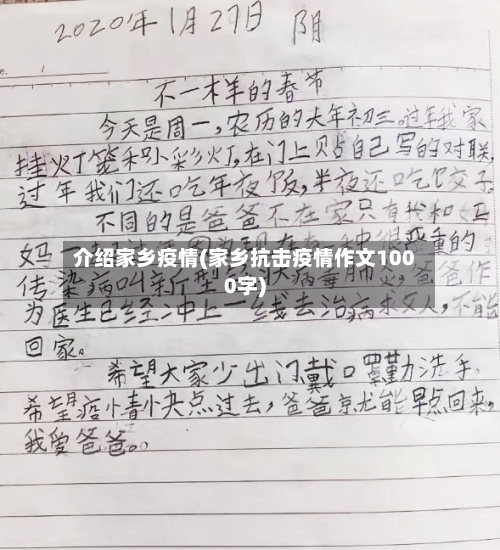 介绍家乡疫情(家乡抗击疫情作文1000字)-第2张图片