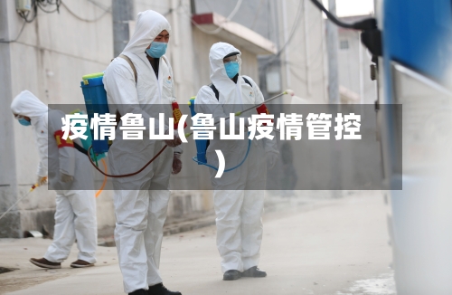 疫情鲁山(鲁山疫情管控)-第2张图片