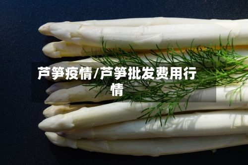 芦笋疫情/芦笋批发费用行情-第2张图片