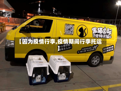 【因为疫情行李,疫情期间行李托运】-第2张图片